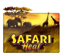 Safari Heat - STONEBET88