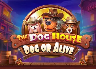 The Dog House - Dog or Alive - STONEBET88