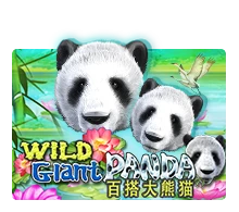 Wild Giant Panda - STONEBET88