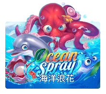 Ocean Spray - STONEBET88