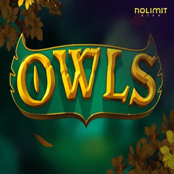 Owls - STONEBET88