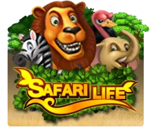 Safari Life - STONEBET88