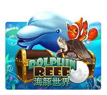 Dolphin Reef - STONEBET88