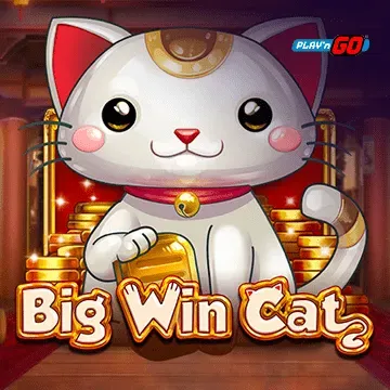 Big Win Cat - STONEBET88