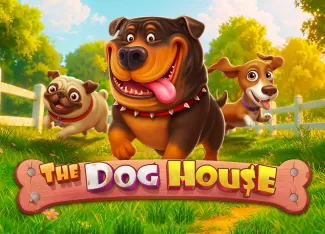 The Dog House - STONEBET88